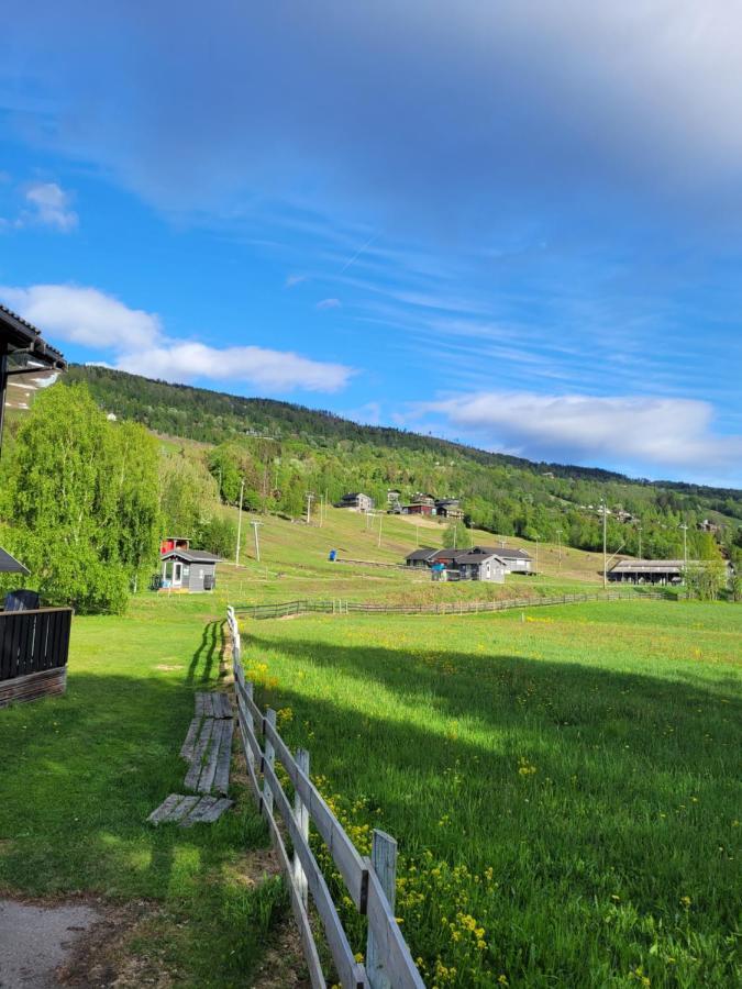 Friends & Family Apartment At Hafjell Alpinlandsby/Oyer Center Exteriör bild